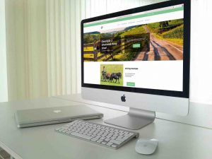 Shetland Pony Website