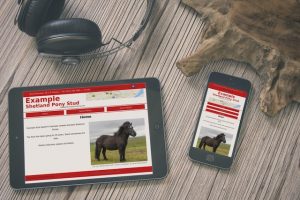 Equestrian Website Design
