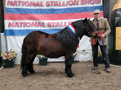 Stallion Show 2022