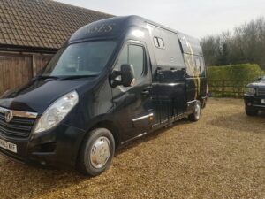 shetland pony transport