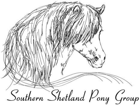 shetland pony news